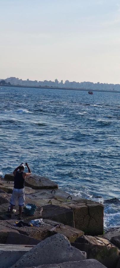 Apartment هوليداي Alexandria